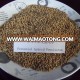 Super Good Quality Perennial Hybrid Pennisetum Grass Seed