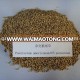 Hot!!! Forage Grass Pennisetum Americanum P.purpureum seeds